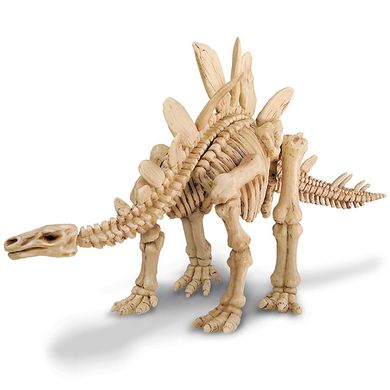 Набір для розкопок "Скелет стегозавра" - 4M